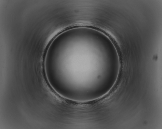 X0000091671325200708231320