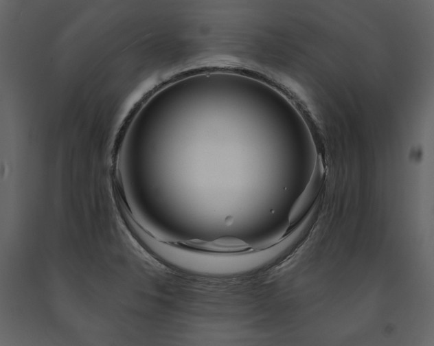 X0000091671326200708231320