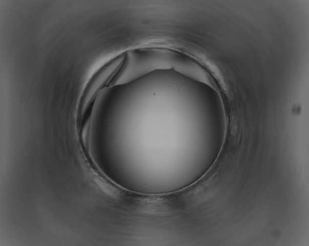 X0000091671328200708231320