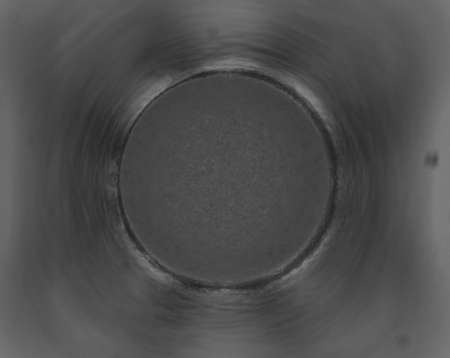 X0000091671329200708231320