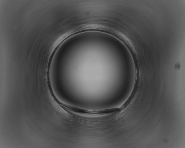 X0000091671330200708231320