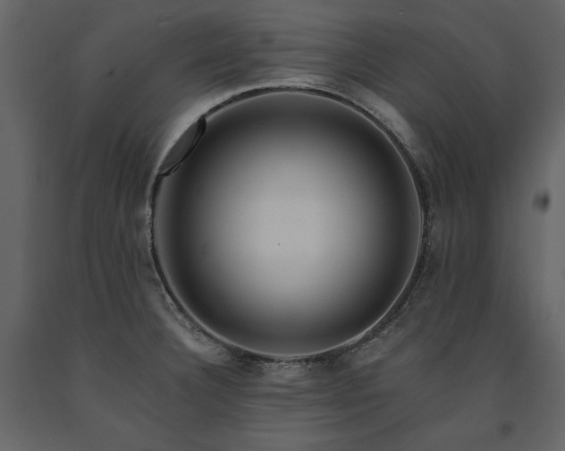 X0000091671332200708231320