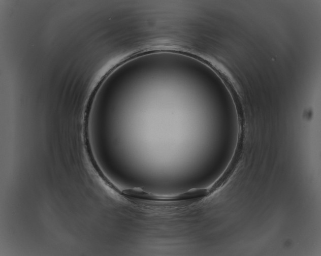 X0000091671333200708231320