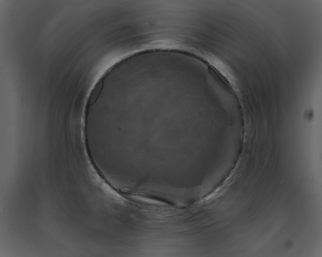 X0000091671334200708231320