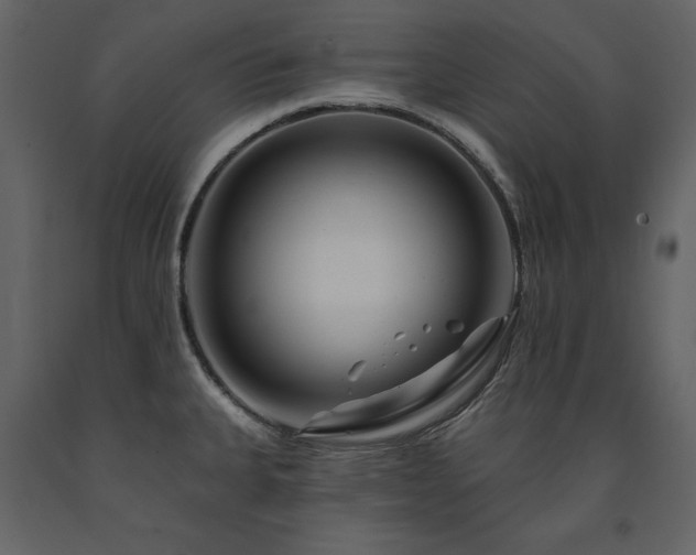 X0000091671335200708231320