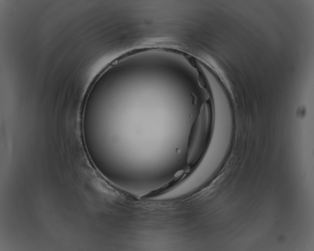 X0000091671336200708231320