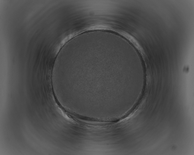 X0000091671337200708231320