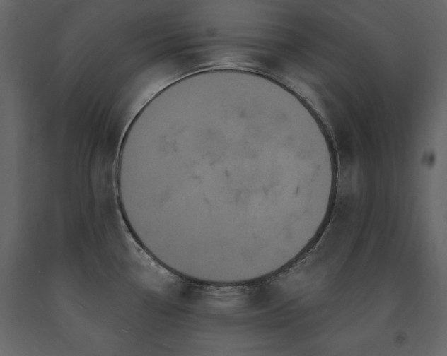 X0000091671338200708231320