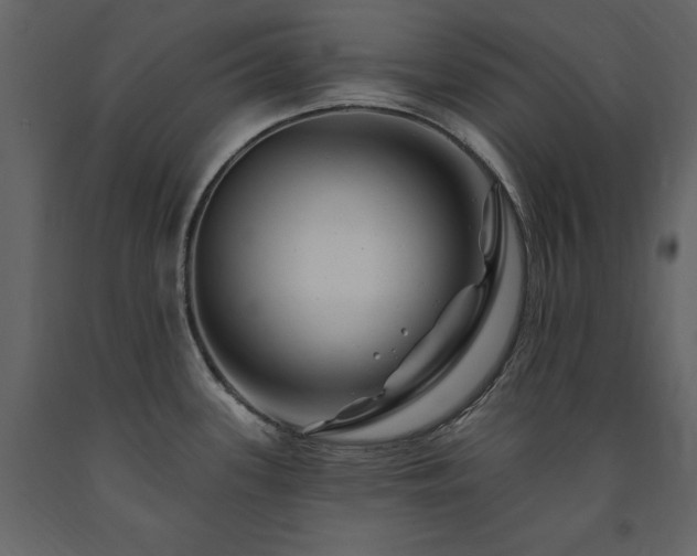 X0000091671339200708231320
