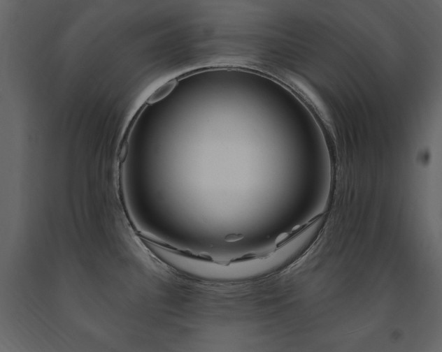 X0000091671340200708231320