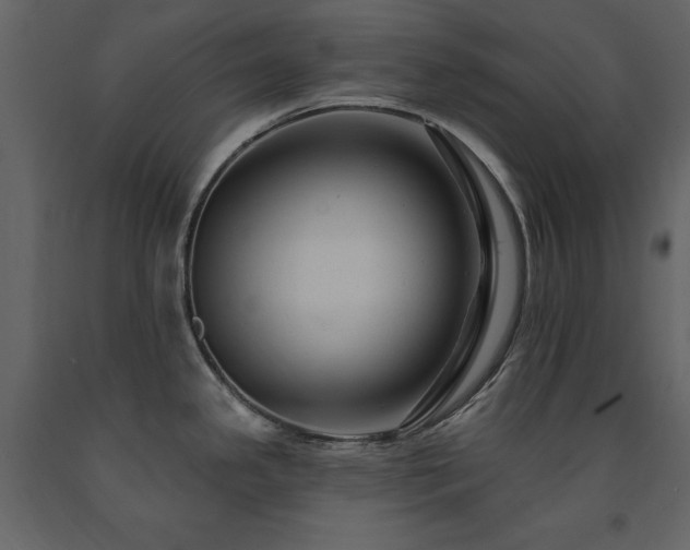 X0000091671341200708231320