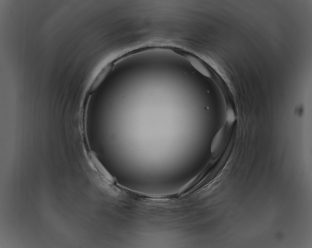 X0000091671342200708231320
