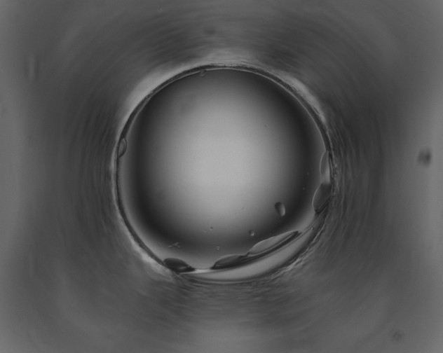 X0000091671343200708231320