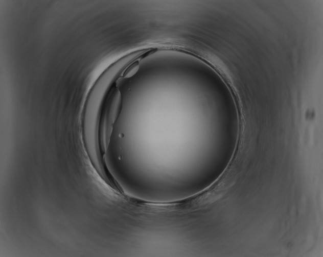 X0000091671344200708231320