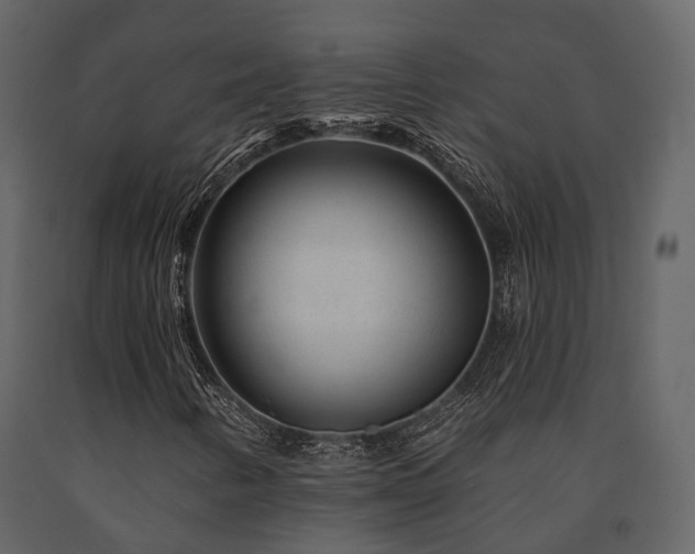 X0000091671346200708231320