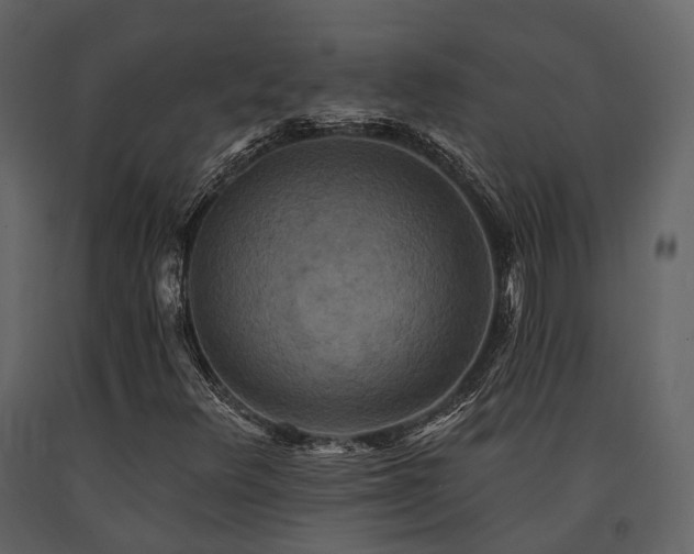 X0000091671348200708231320