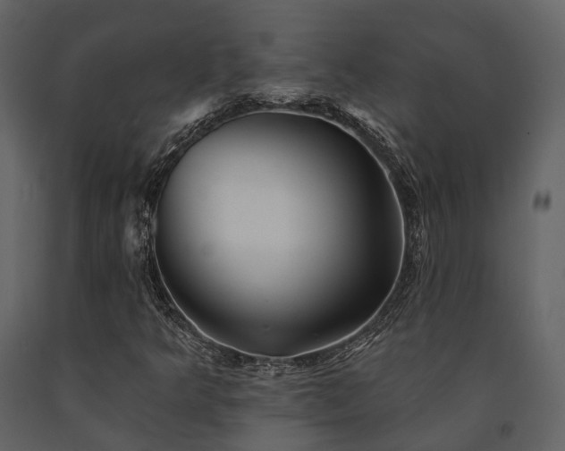X0000091671349200708231320