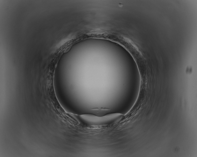 X0000091671350200708231320