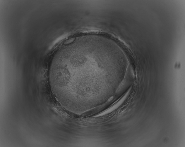 X0000091671351200708231320