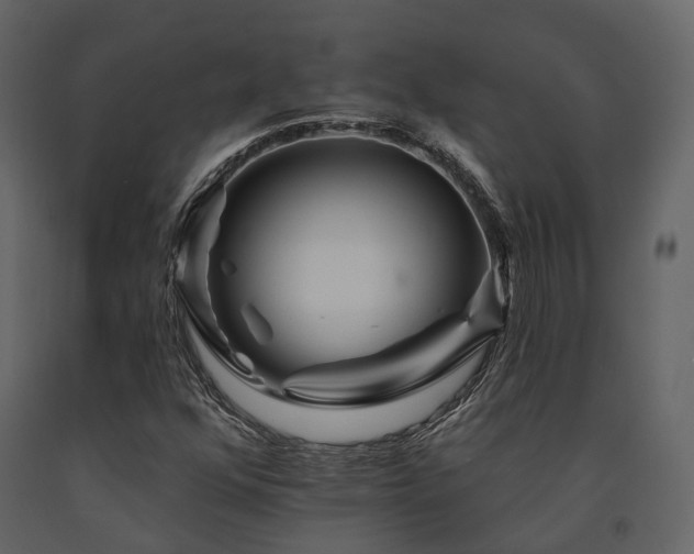X0000091671352200708231320