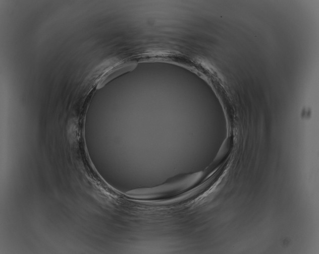 X0000091671353200708231320