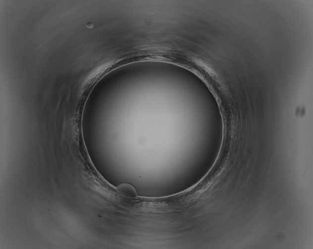 X0000091671354200708231320