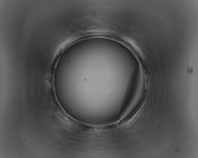 X0000091671357200708231319