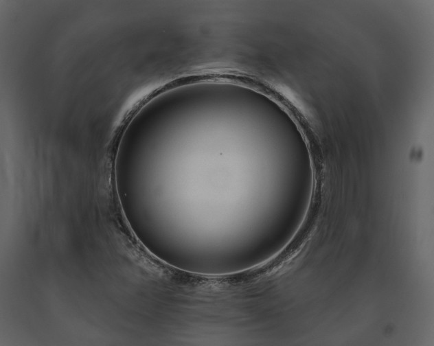 X0000091671358200708231319