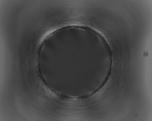 X0000091671359200708231319