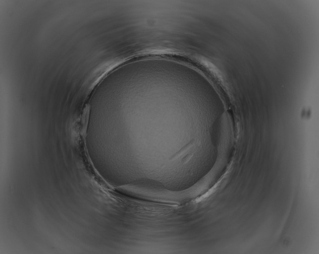 X0000091671361200708231319