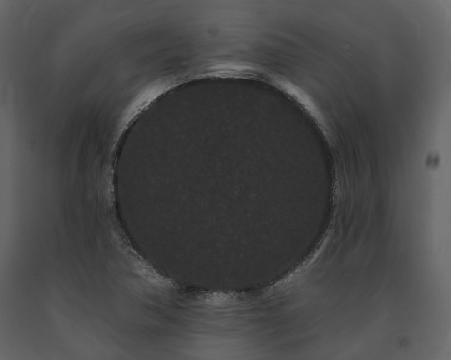 X0000091671362200708231319