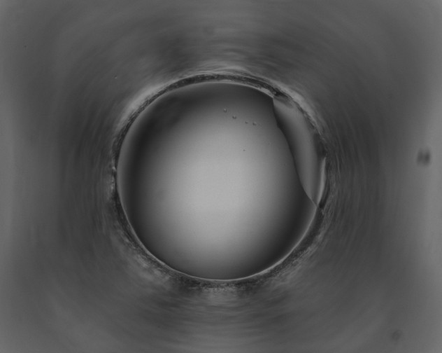 X0000091671363200708231319