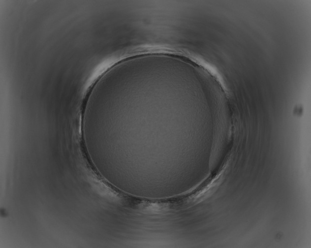 X0000091671365200708231319