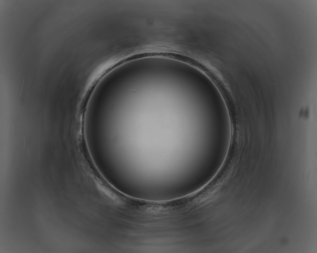 X0000091671366200708231319