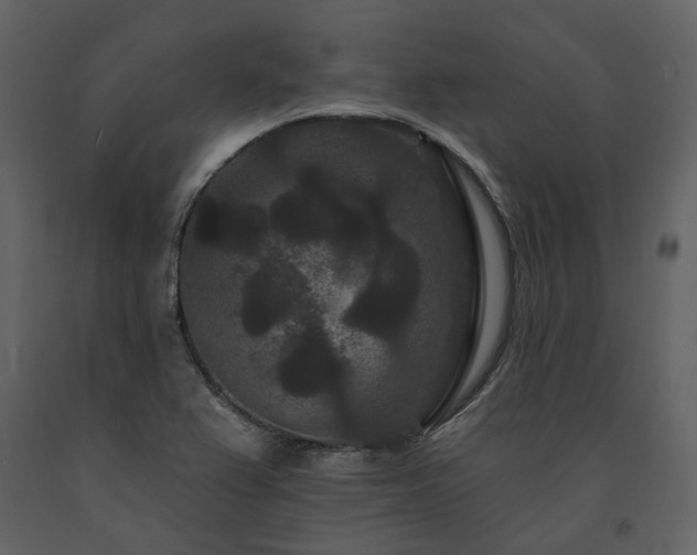 X0000091671367200708231319