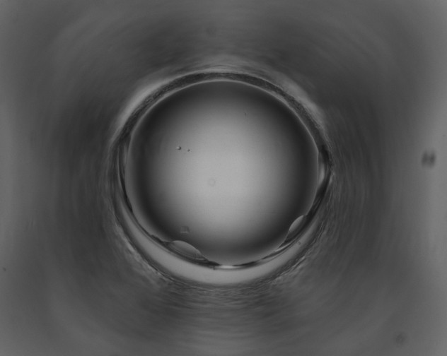 X0000091671368200708231319
