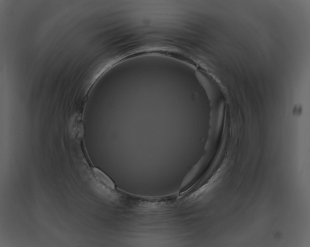 X0000091671369200708231319