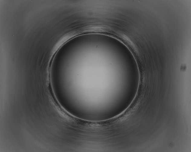 X0000091671370200708231319
