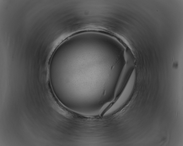 X0000091671371200708231319