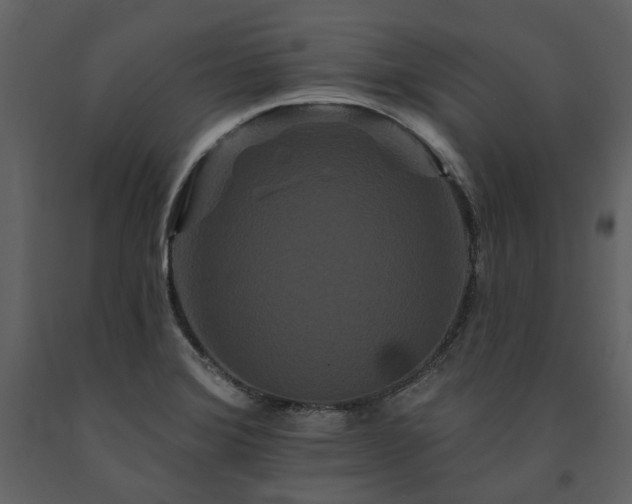 X0000091671372200708231319