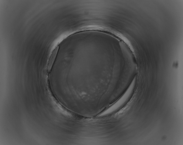 X0000091671373200708231319