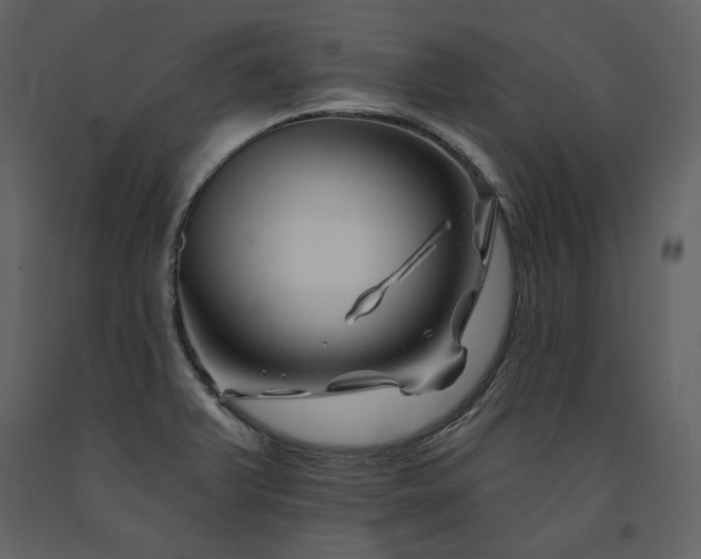 X0000091671375200708231319