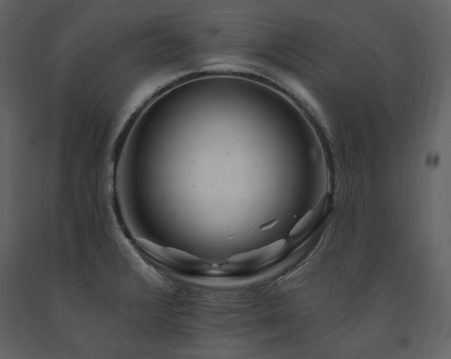 X0000091671376200708231319