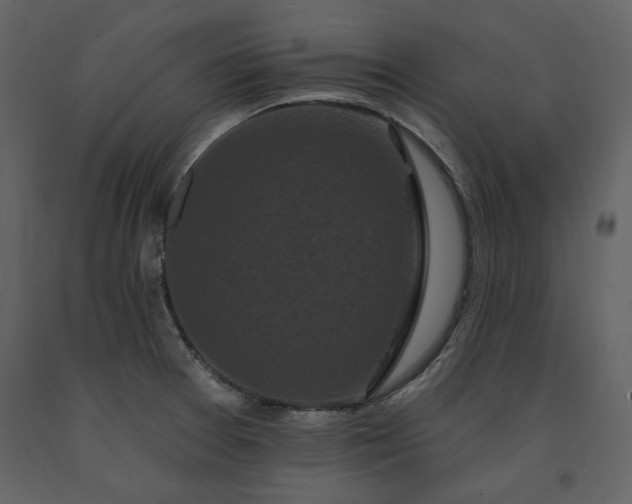 X0000091671377200708231319