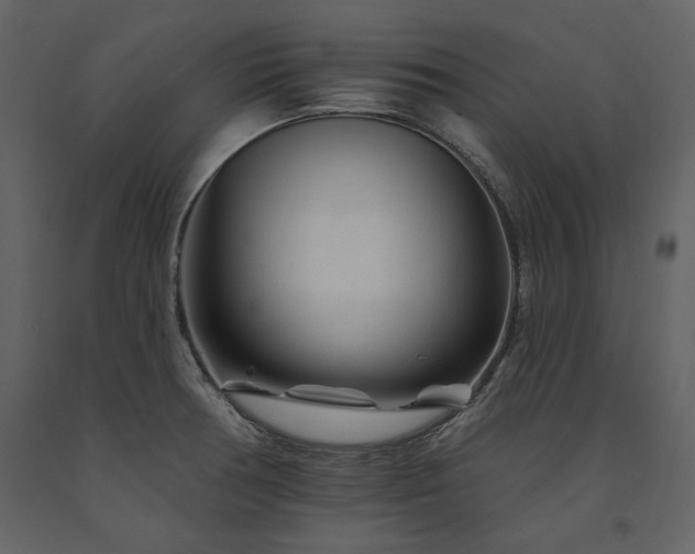 X0000091671378200708231319