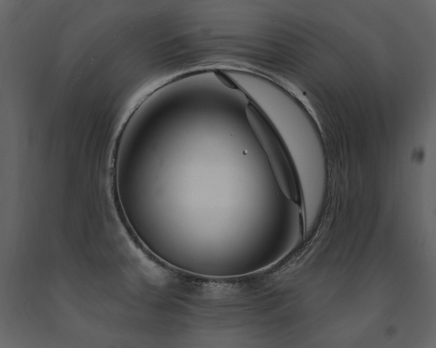 X0000091671379200708231319