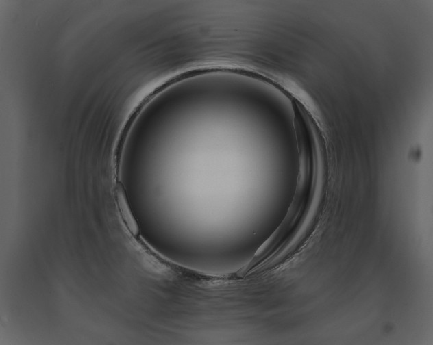 X0000091671380200708231319