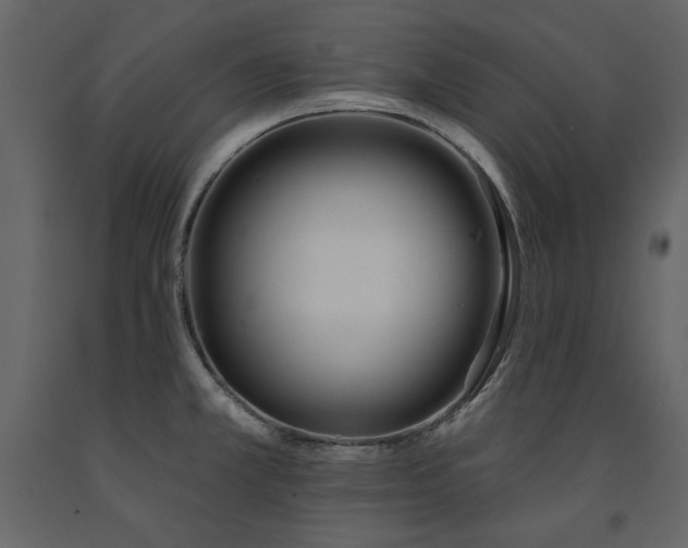 X0000091671381200708231319