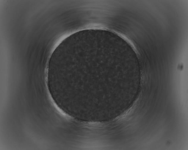 X0000091671383200708231319