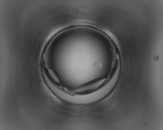 X0000091671384200708231319